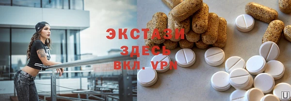 стаф Инта