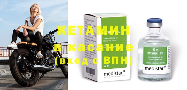 стаф Инта
