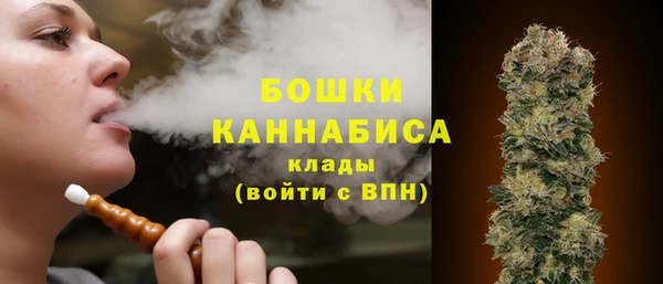 стаф Инта