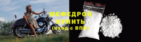 стаф Инта