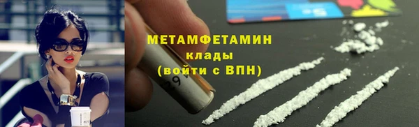 стаф Инта