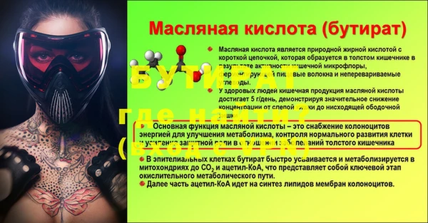стаф Инта