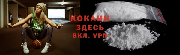стаф Инта