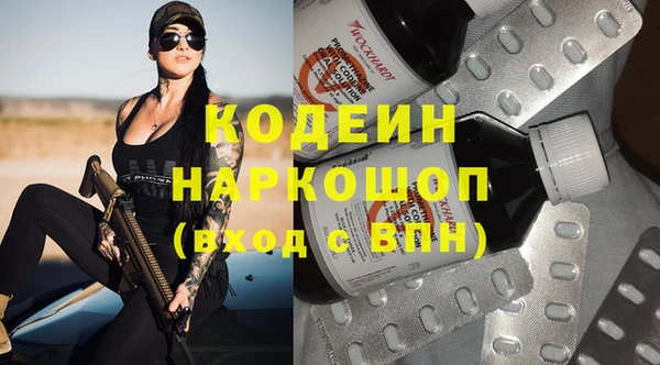 стаф Инта