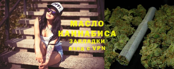 стаф Инта
