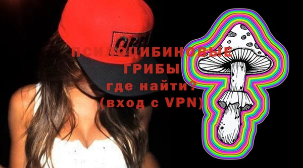 стаф Инта