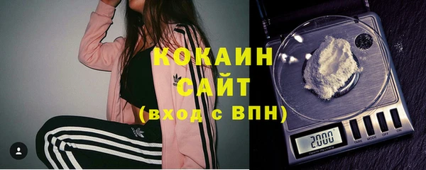 стаф Инта