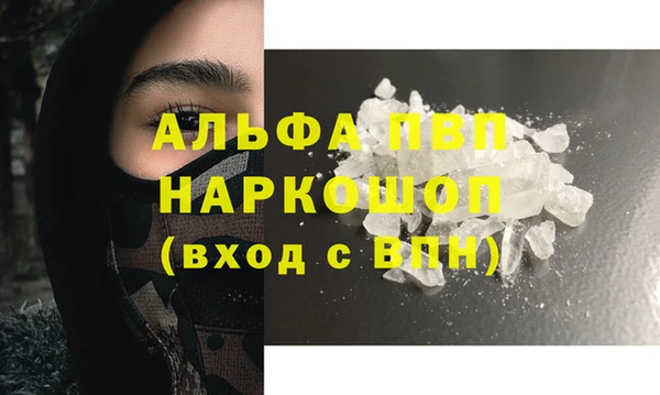 стаф Инта
